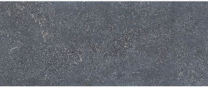 Asian Bluestone vijverrand 3x25x100cm Blauw gezoet