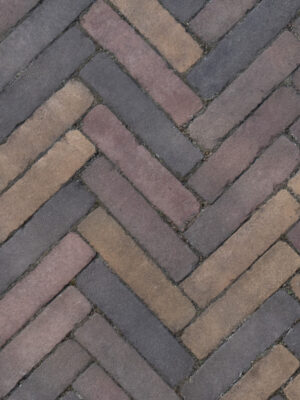 Art Bricks Waalformaat 5x20x6cm Ruijsdael Geel/Bruin