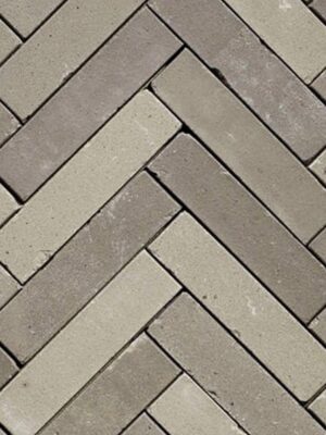 Hollandse Streken Waalformaat 5x20x6cm Twents Grijs genuanceerd